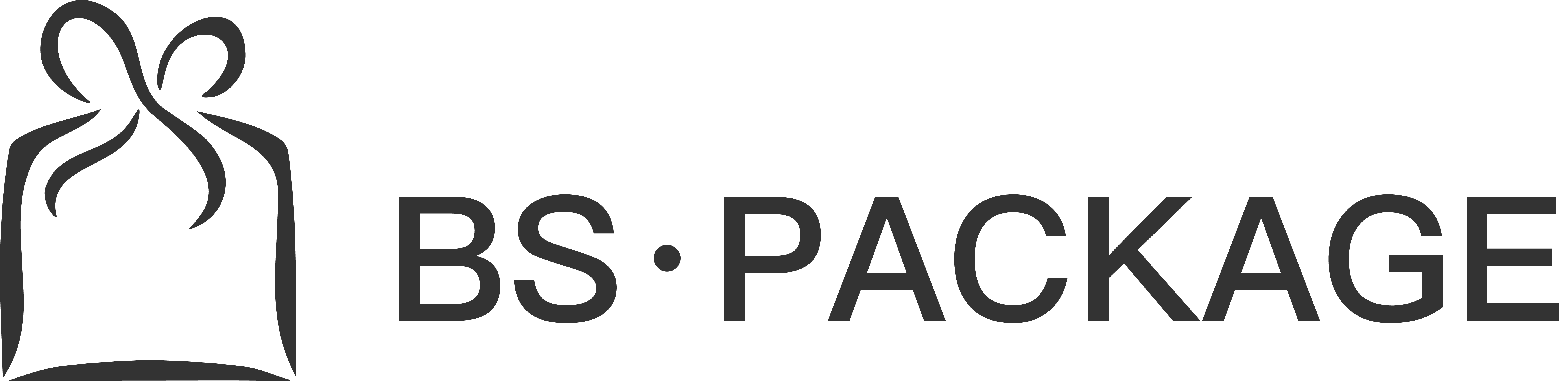 BSPACKAGE COMPANY LIMITED